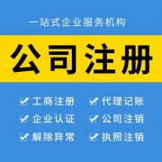 企業(yè)代辦注冊哪家好　稅務(wù)共享服務(wù)中心的設(shè)計(jì)思路